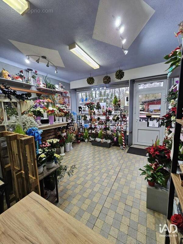 Photo 1 - Commerce à REHON