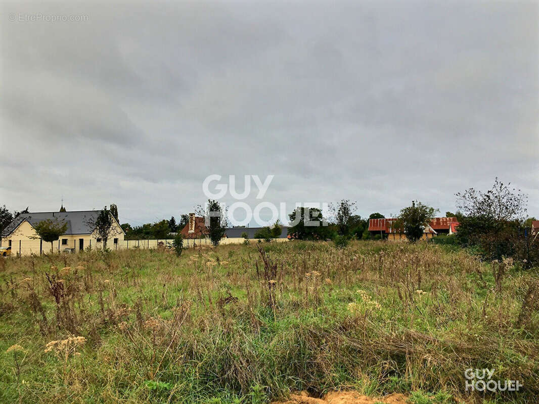 Terrain à BEAUMONT-LE-ROGER