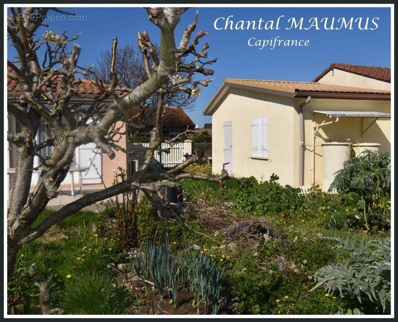 Maison à SEMEAC