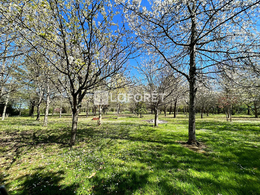 Maison à SAINT-NICOLAS-DE-LA-GRAVE