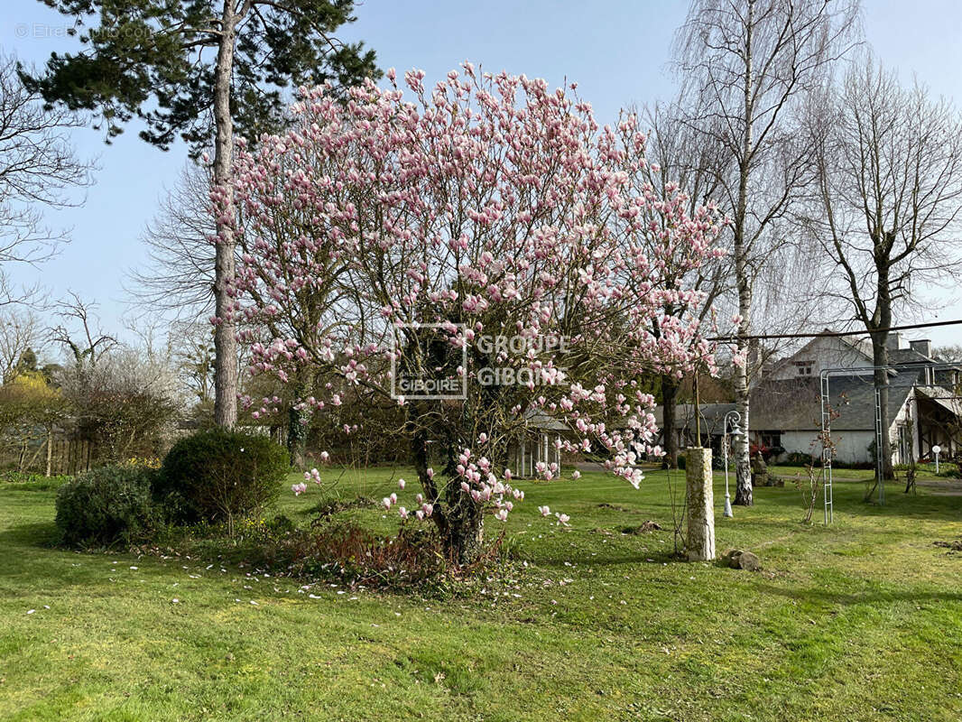 Maison à CESSON-SEVIGNE