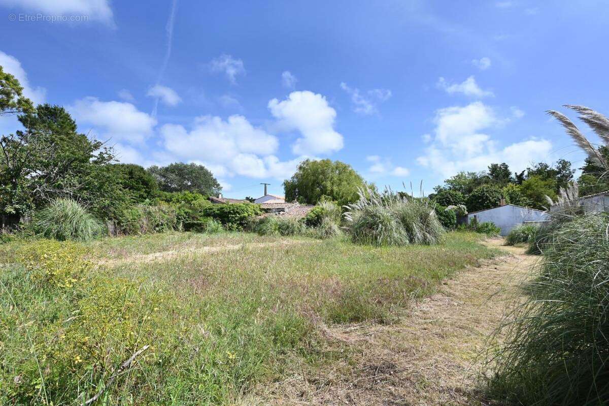 Terrain à LES PORTES-EN-RE