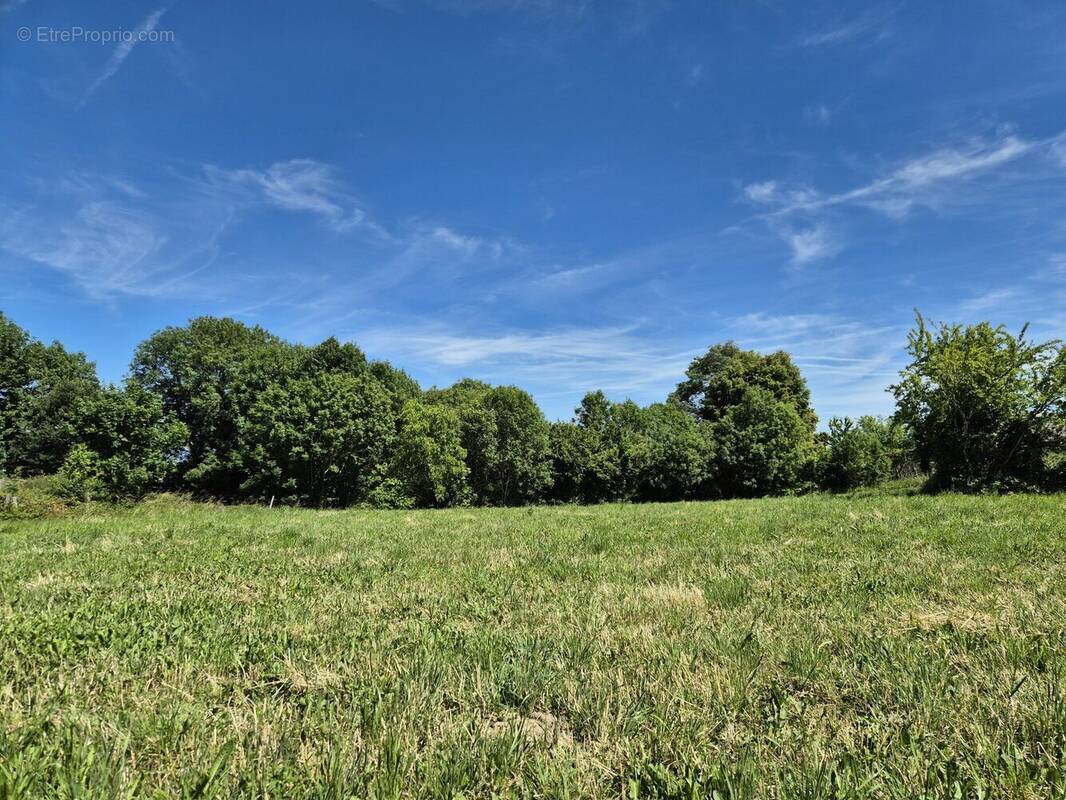 Terrain à MOYRAZES
