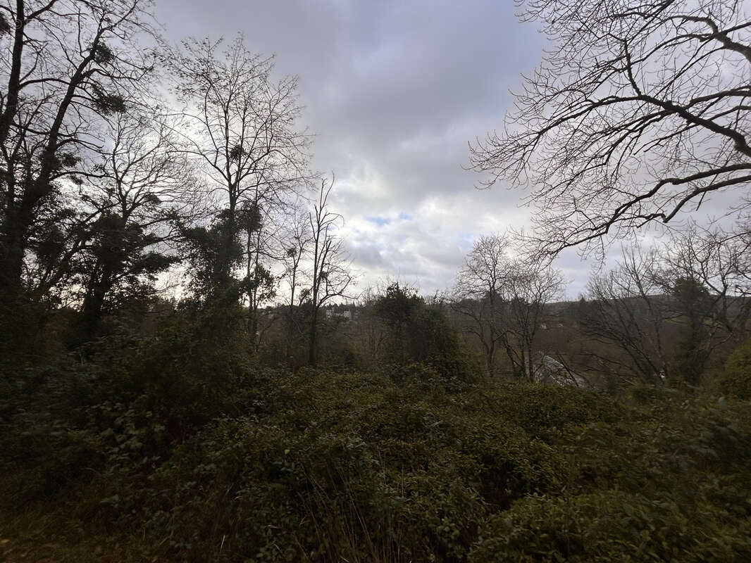 Terrain à LE PONT-CHRETIEN-CHABENET