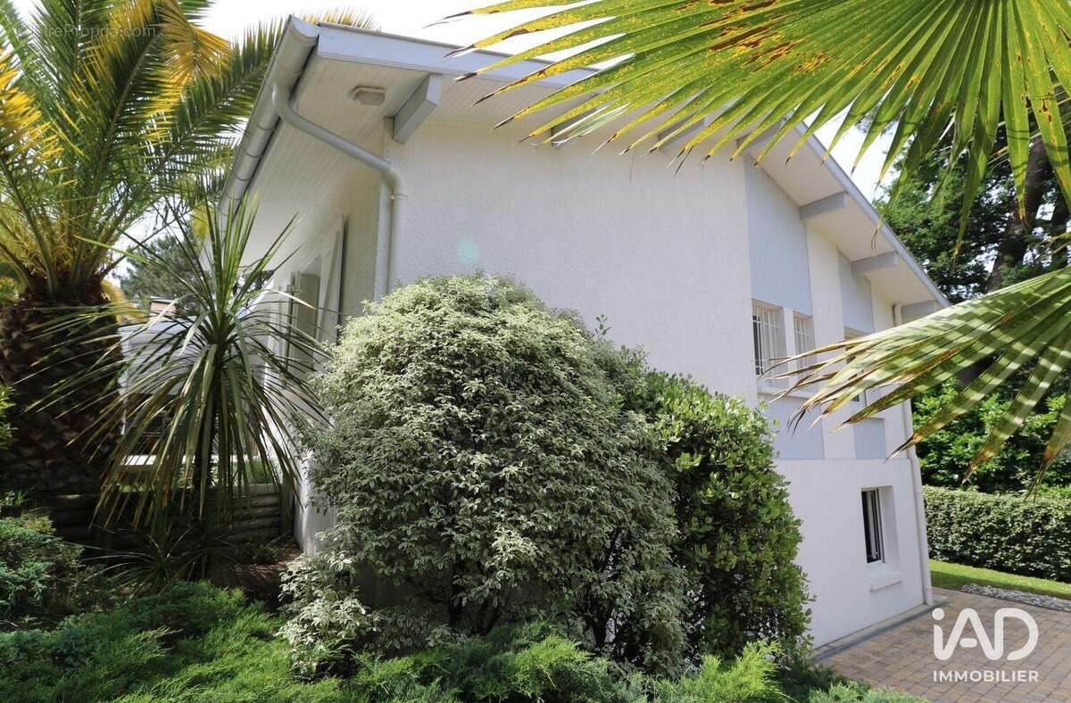 Maison 130 m² à Hossegor  - photo 6