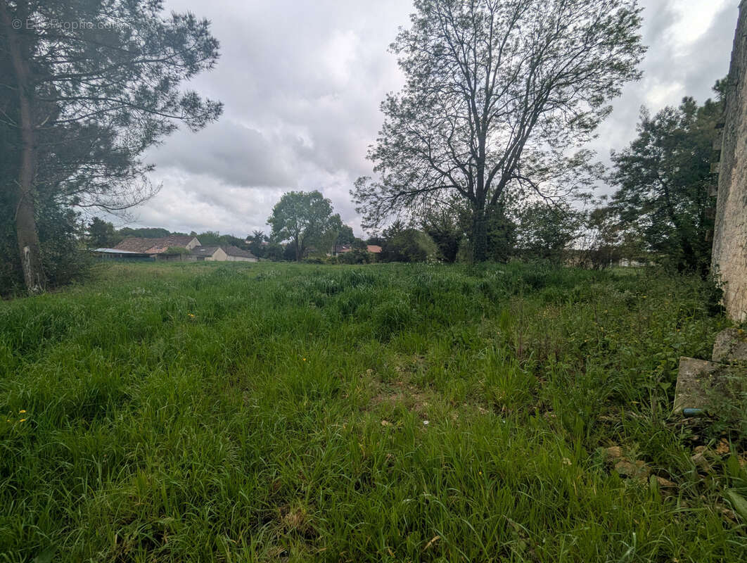 Terrain à SAINT-SIMON-DE-BORDES