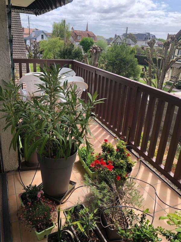 Appartement à CABOURG