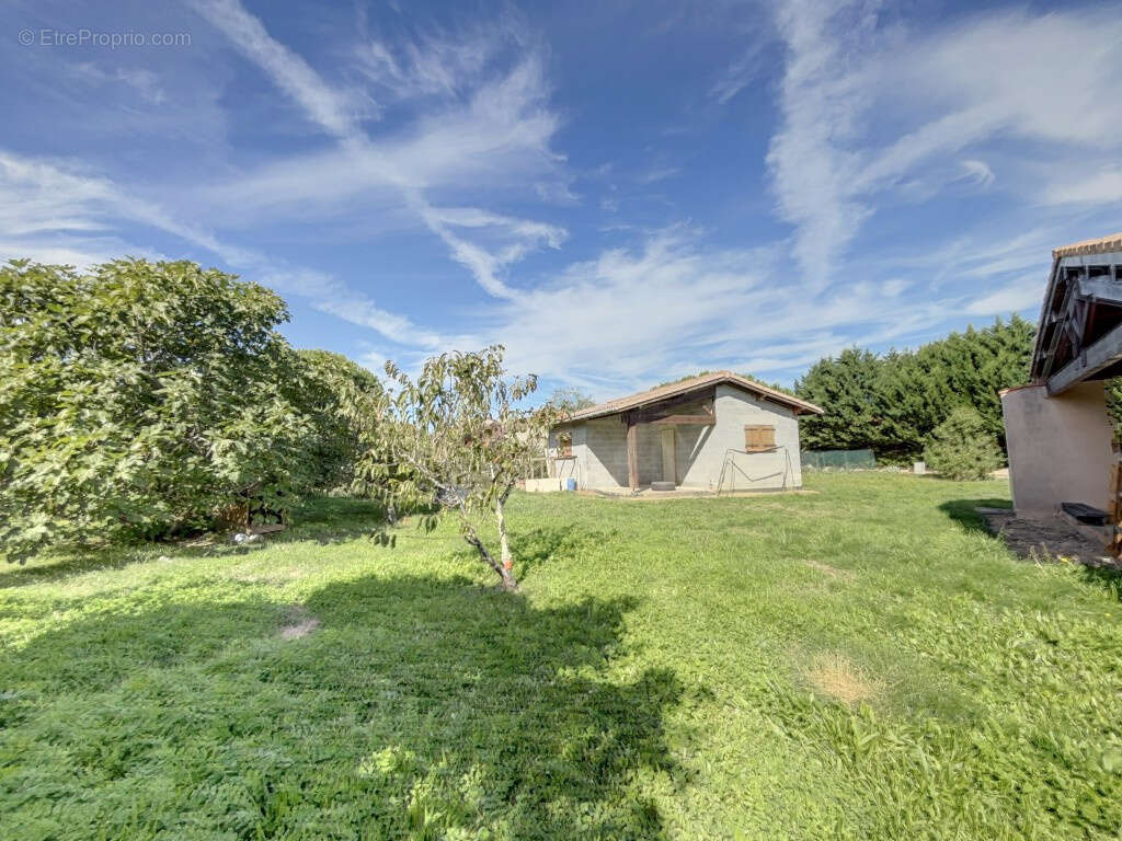 Maison à BERAT