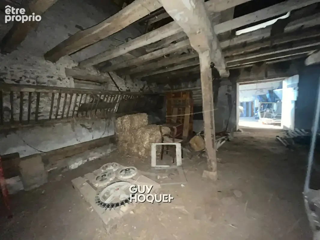 Entre chassenard et molinet - bel ensemble à fort potentiel avec terrain ! - photo 5