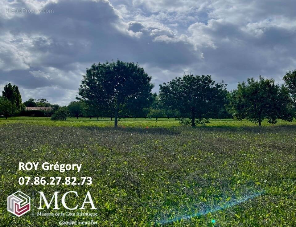 Terrain à MORNAC-SUR-SEUDRE