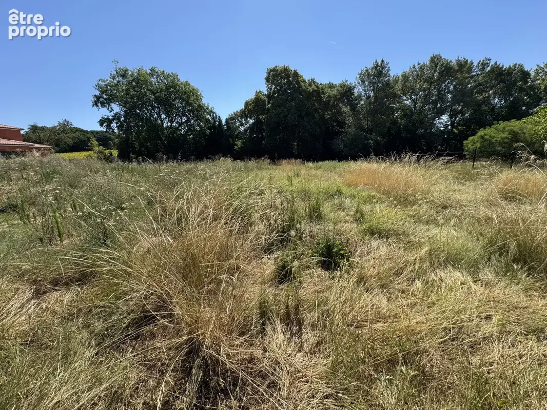 Terrain constructible -  QUINT-FONSEGRIVES - photo 3