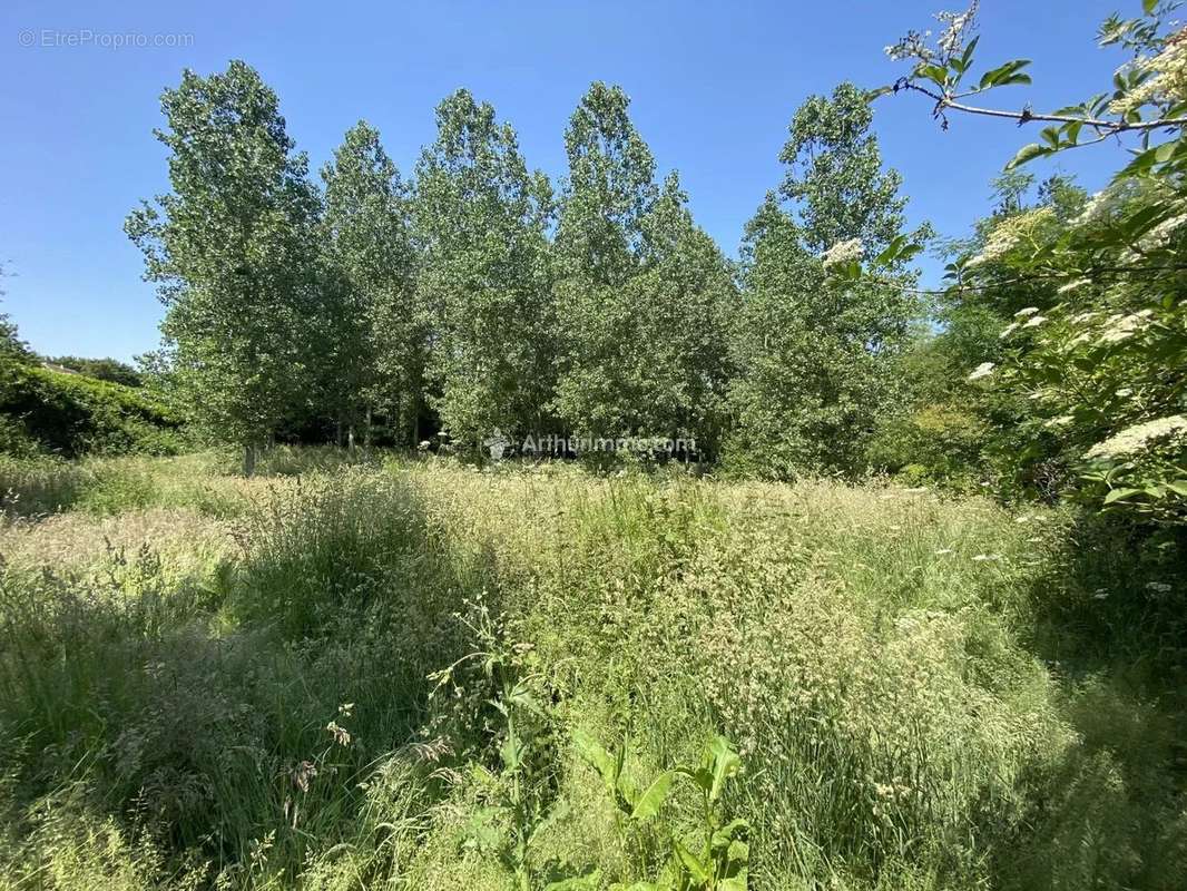 Maison à SAINT-ELLIER-LES-BOIS