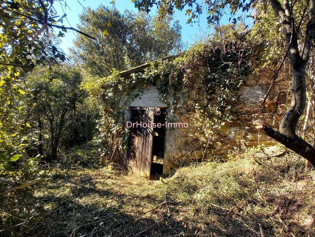 Terrain 7332 m² à Llauro  - photo 7