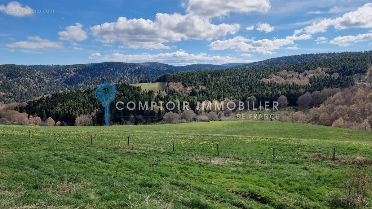 Maison à LE LAC-D'ISSARLES