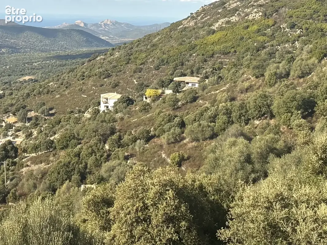 Terrain à vendre   Pietralba (20218) - photo 2