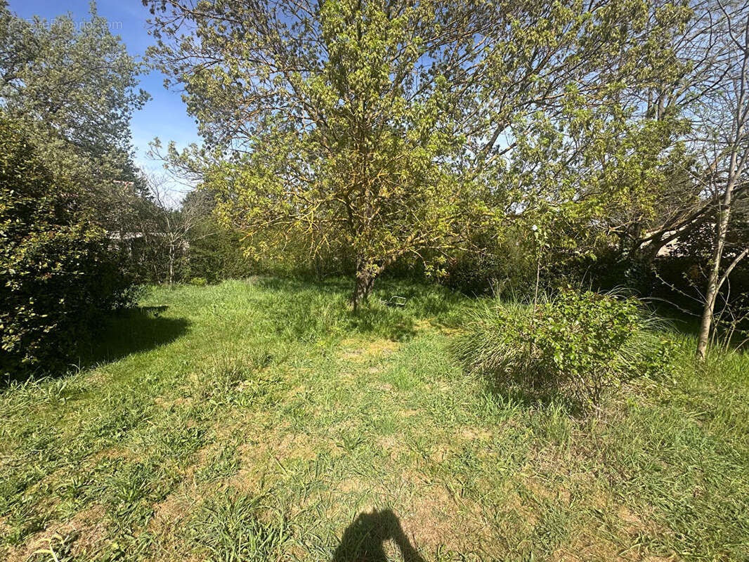 Maison à SAINT-MAXIMIN-LA-SAINTE-BAUME