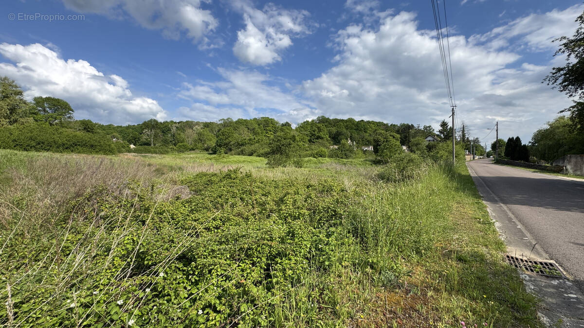Terrain à L&#039;ISLE-SUR-SEREIN
