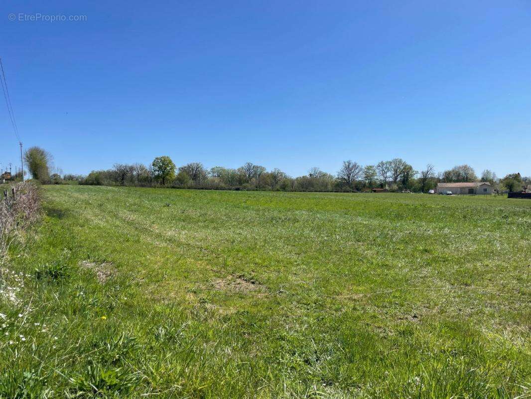 Terrain à SAINT-GENEST-SUR-ROSELLE