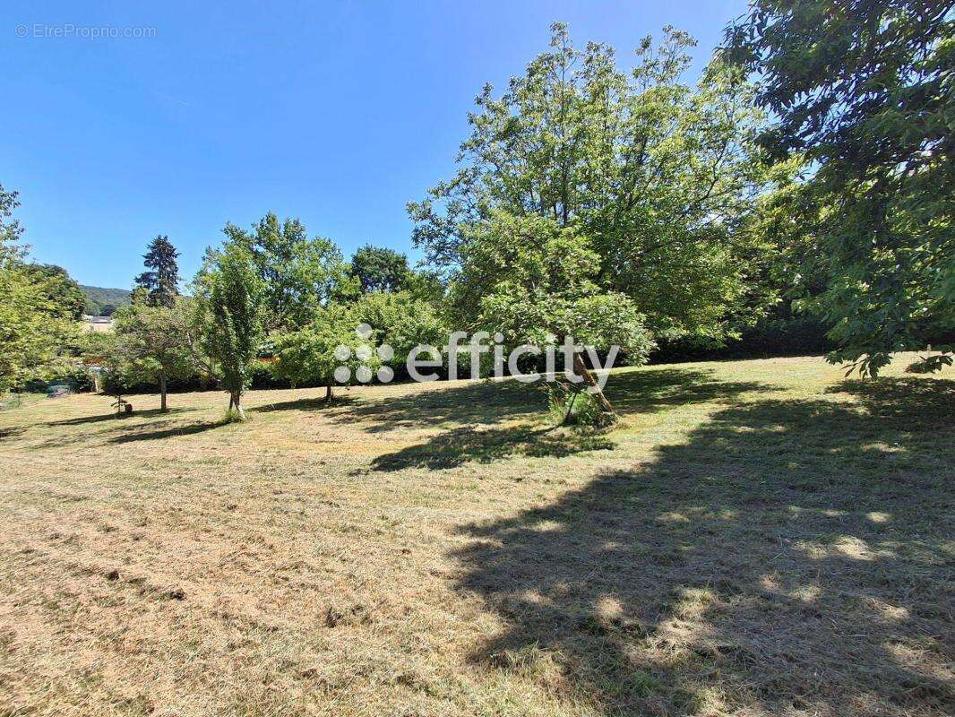 Terrain 1318 m² à Tourneville  - photo 3