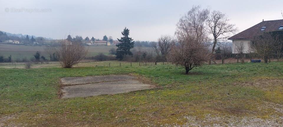 Terrain à ORNACIEUX