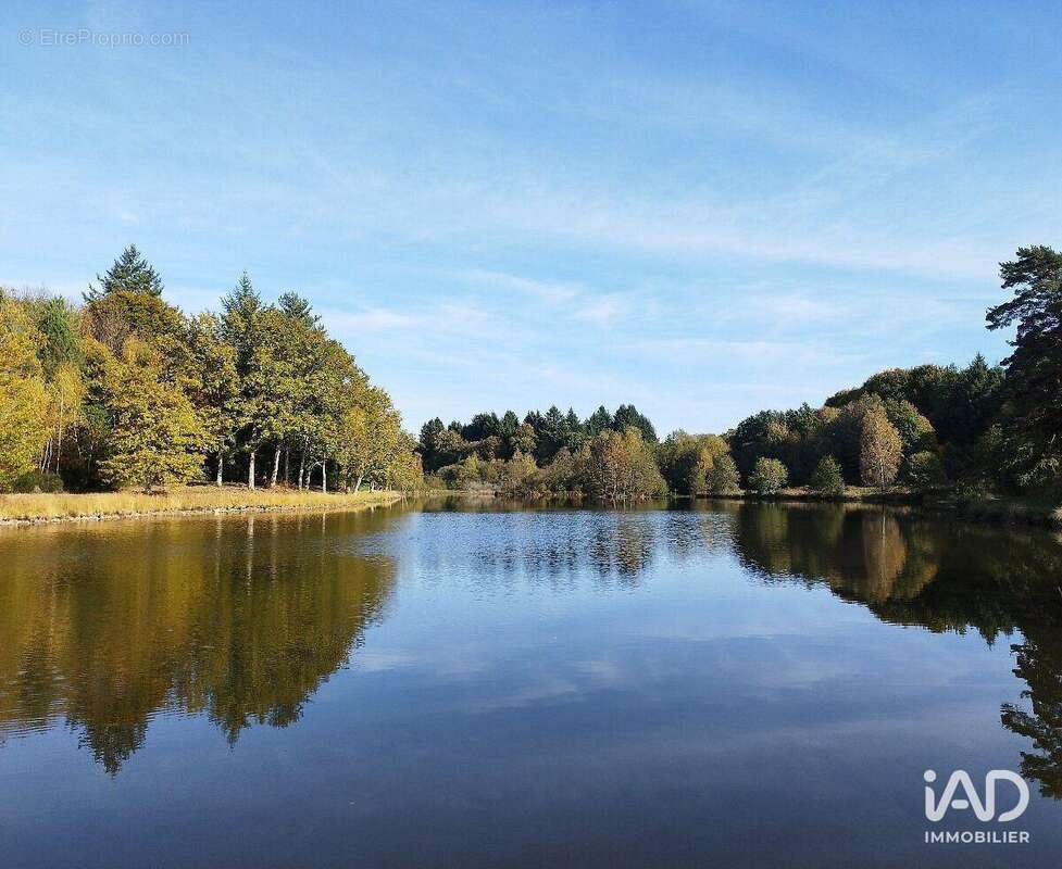 Photo 4 - Commerce à SAINTE-FORTUNADE