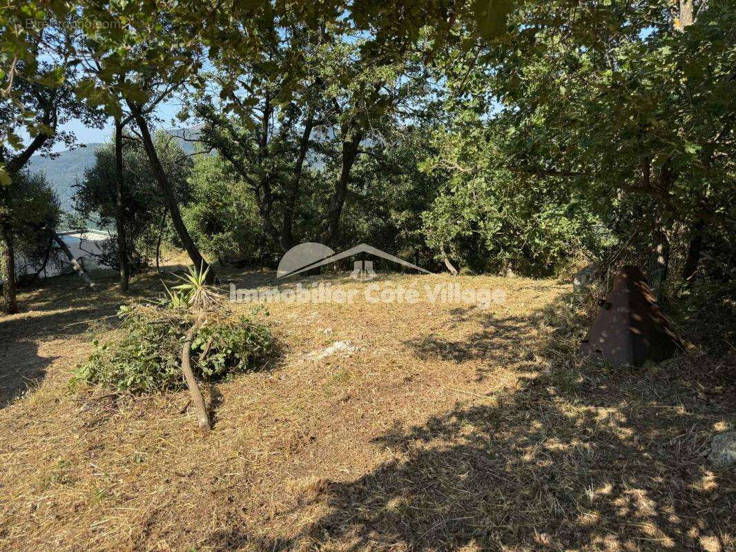 À Vendre   Terrain constructible de 2023 m2 à Contes, Quarti - photo 2