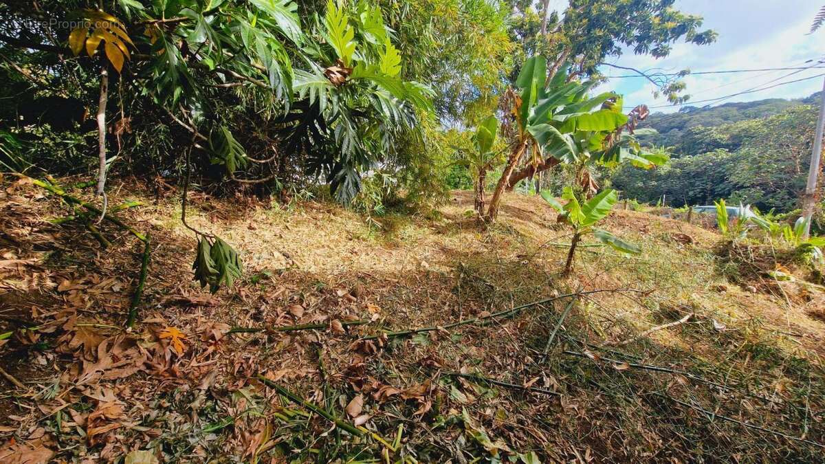 Maison à LE LAMENTIN