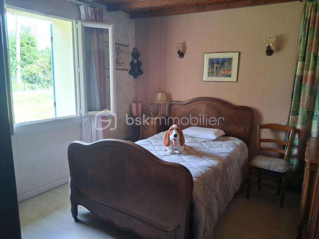Coup de Coeur Maison de plain-pied avec dépendances sur un parc arboré de 3 937 m² - photo 9