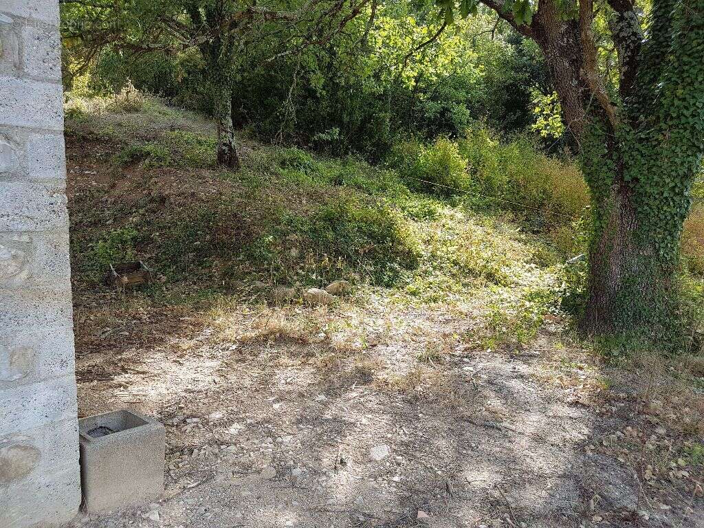 Propriété Agricole avec maison - photo 15