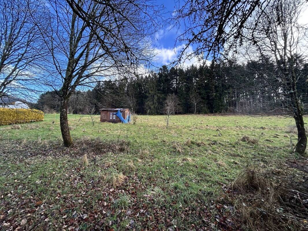 Terrain à MOYENMOUTIER