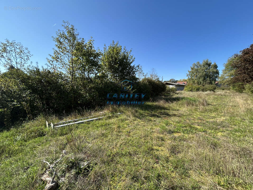 Immeuble de 3385 m2 - photo 13