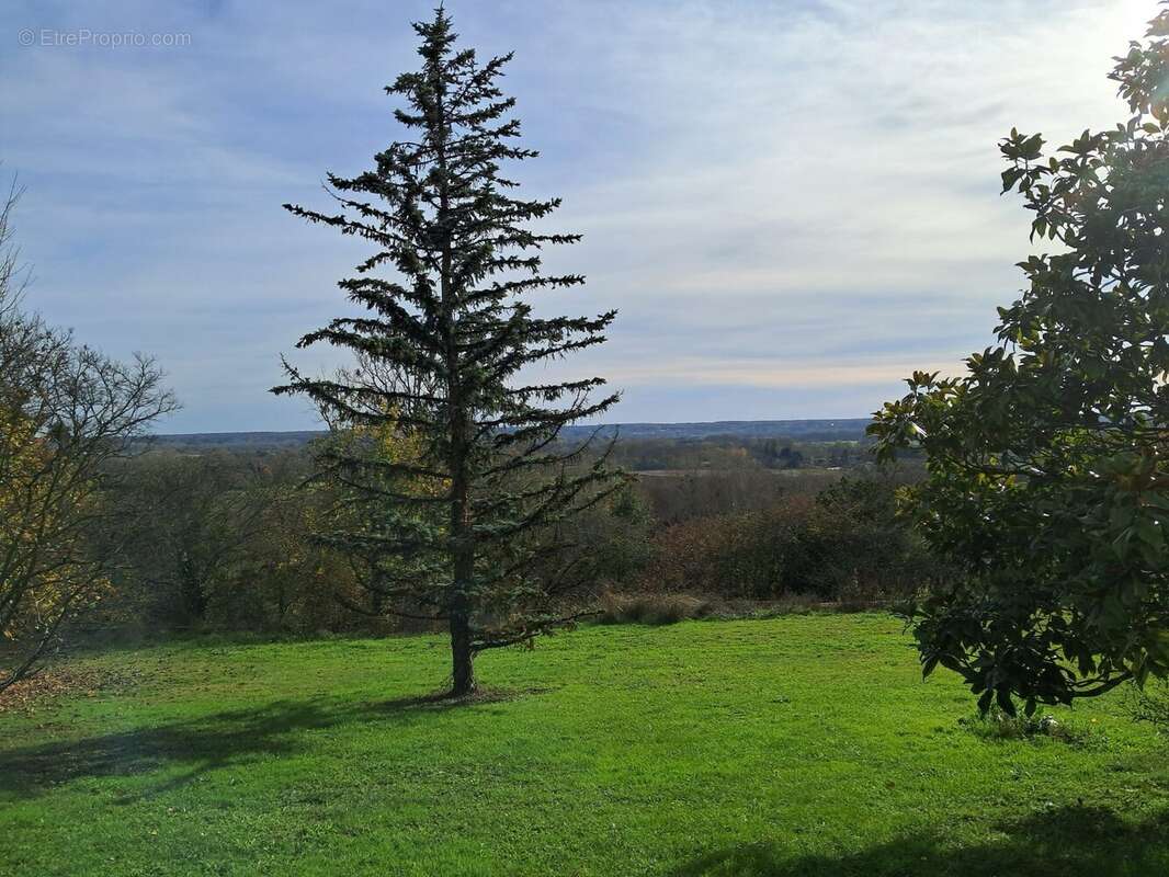 Vue à l'infini
