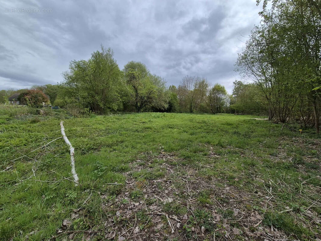 Terrain à BAILLEVAL
