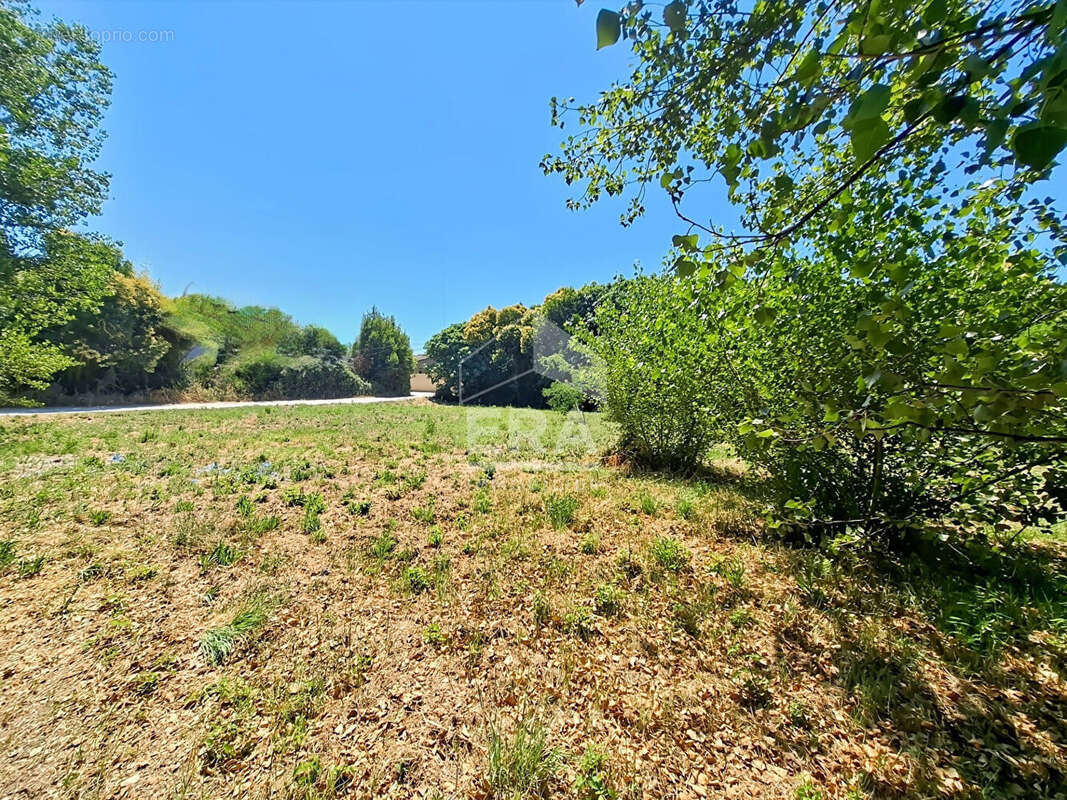 Terrain à SAINT-REMY-DE-PROVENCE