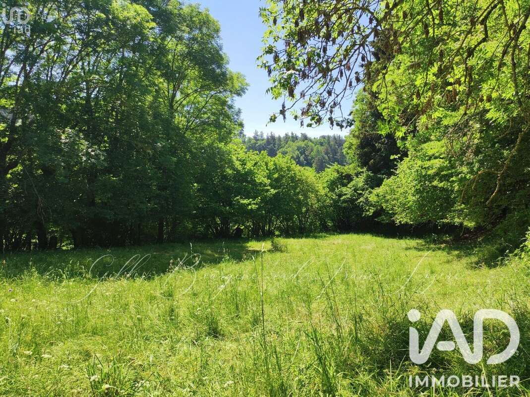 Photo 8 - Terrain à AUMONT-AUBRAC
