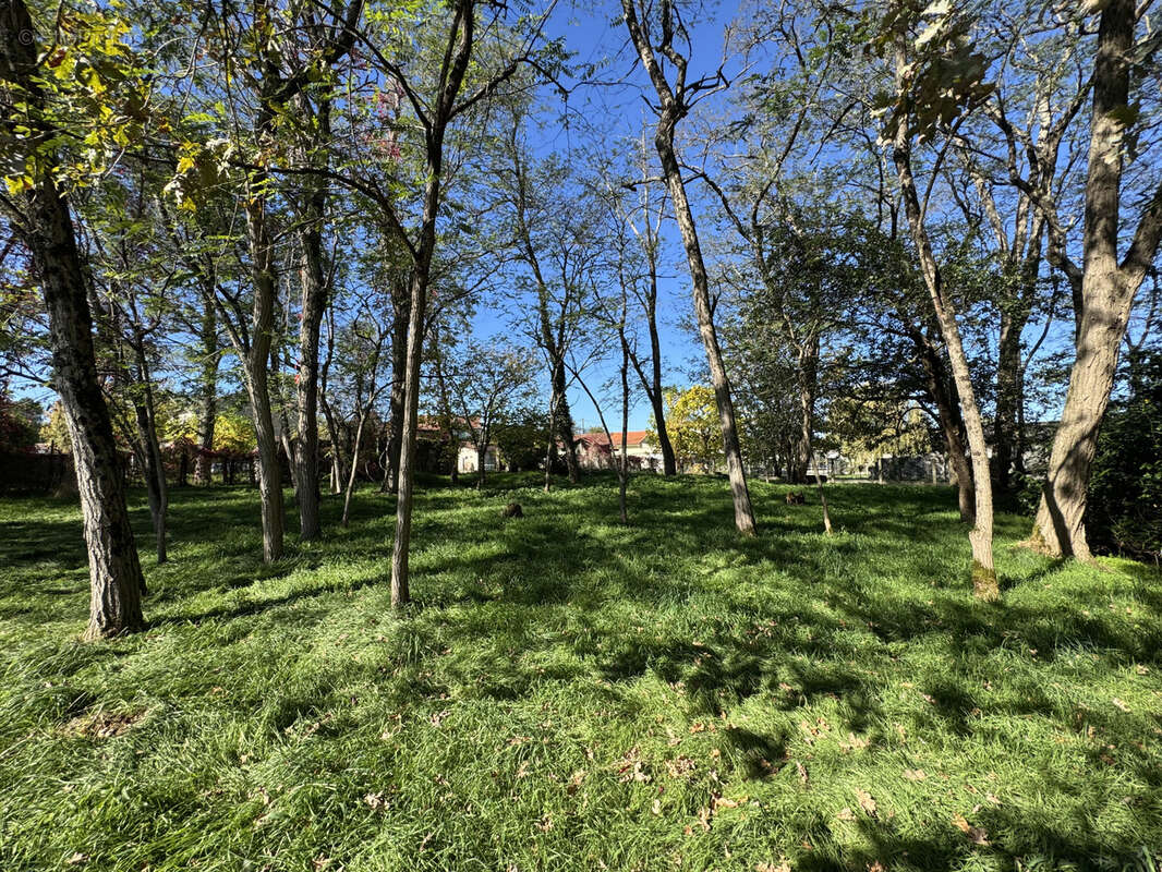 Terrain à SAINT-YZAN-DE-SOUDIAC