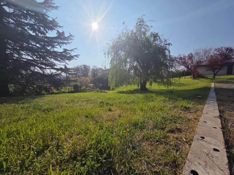 Terrain 841 m² à Dommartin  - photo 5