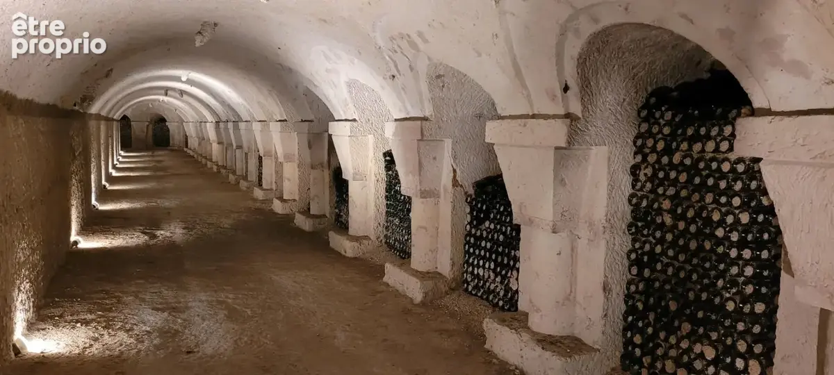 Manoir a la chartre sur le loir  et ses caves exceptionnelles - photo 15