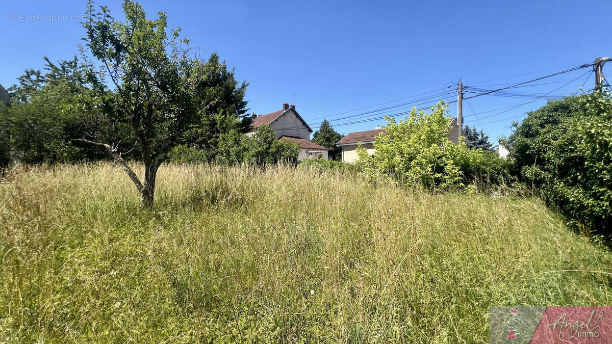 Terrain à DOLE