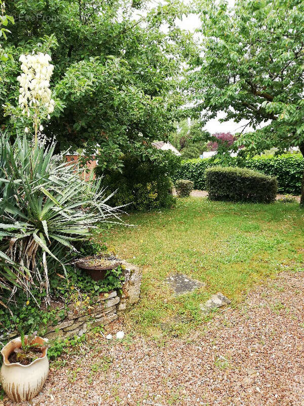 Maison Centre-Ville de Prémery - photo 14
