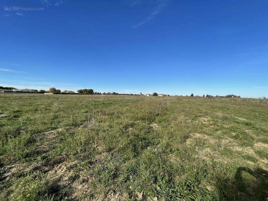 Terrain à GALLARGUES-LE-MONTUEUX