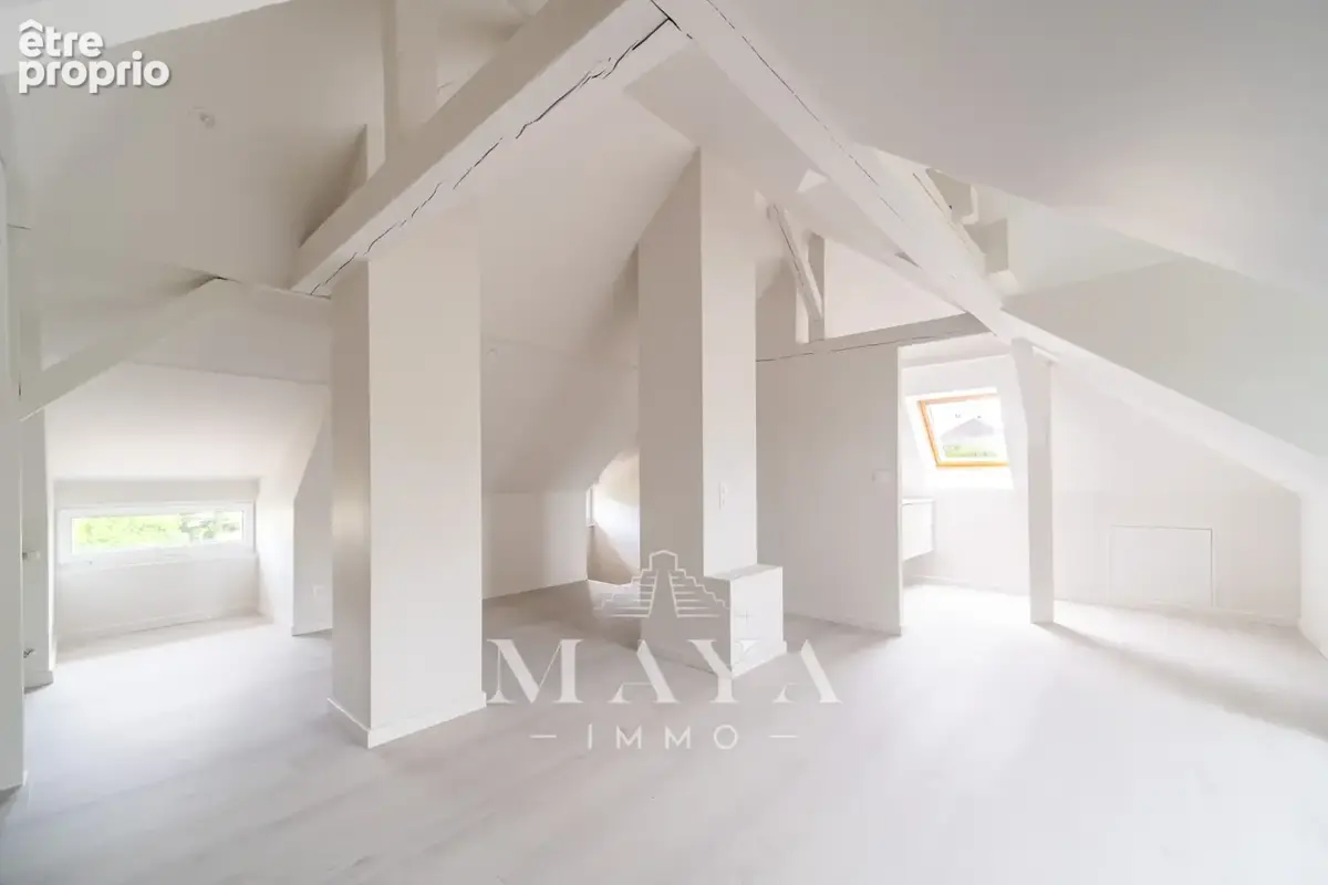 Brunstatt : maison bourgeoise renovee sur les hauteurs - photo 14