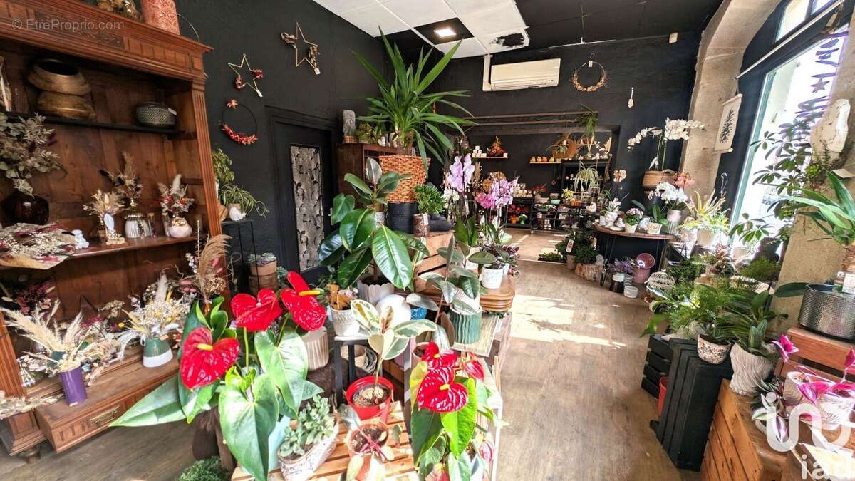 Photo 5 - Commerce à LE PUY-EN-VELAY