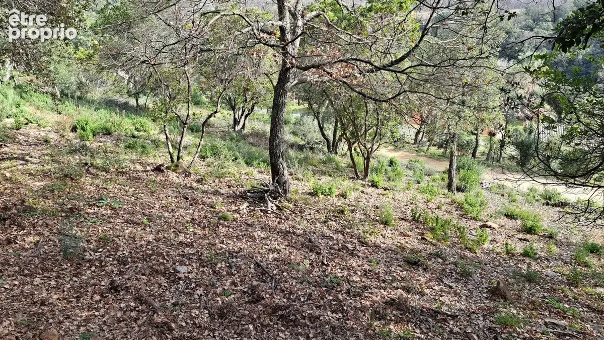 Terrain à bâtir de 2150 m² à LA MOLE (83) - photo 2