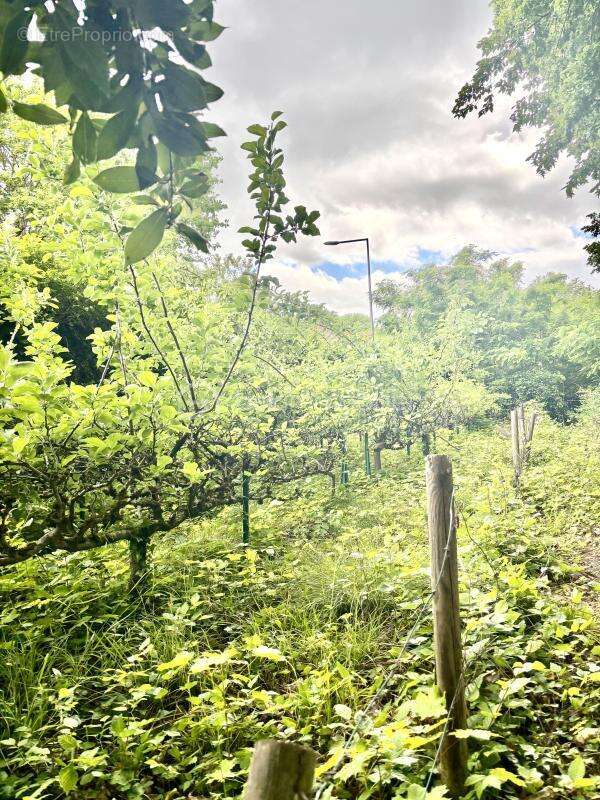 Domaine d'exception - photo 13