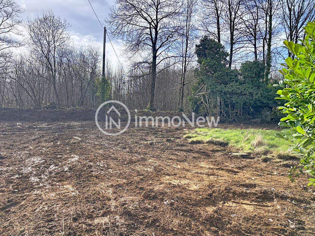 Belle maison a renover avec gite 370 m2 sur terrain de 1 hectare sans voisins - photo 24