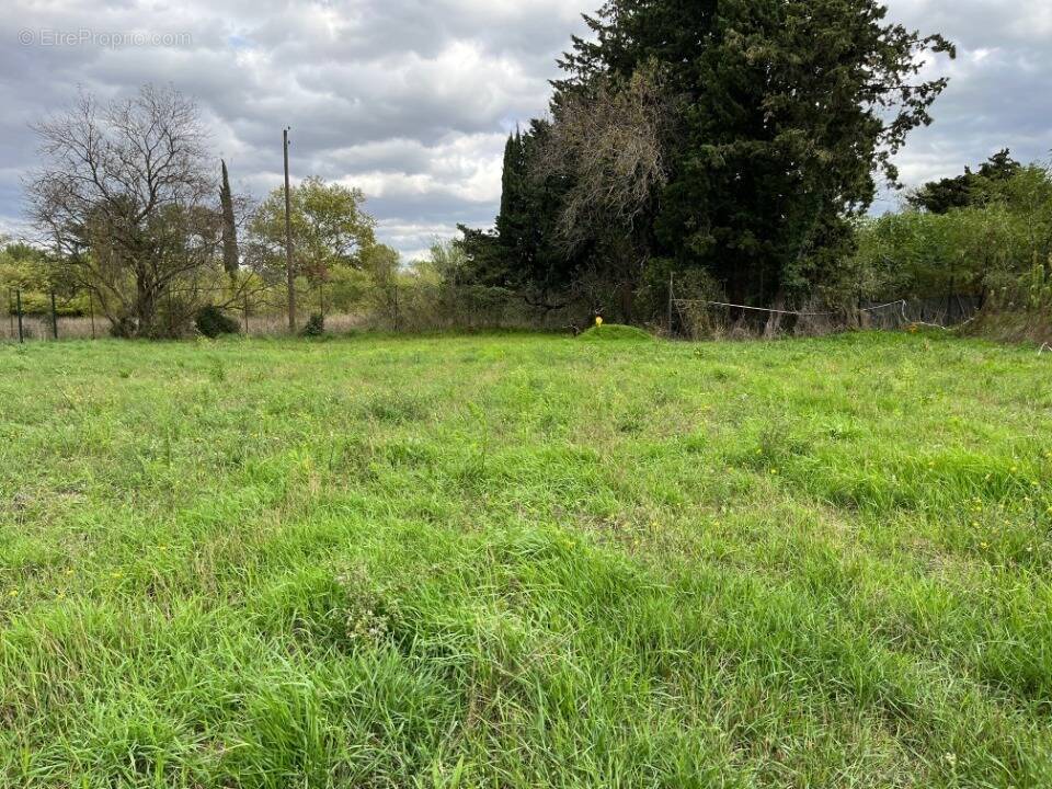 Terrain à MONTELIMAR