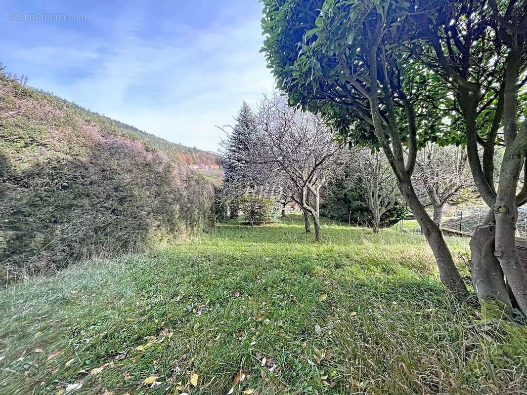 Maison à WANGENBOURG-ENGENTHAL