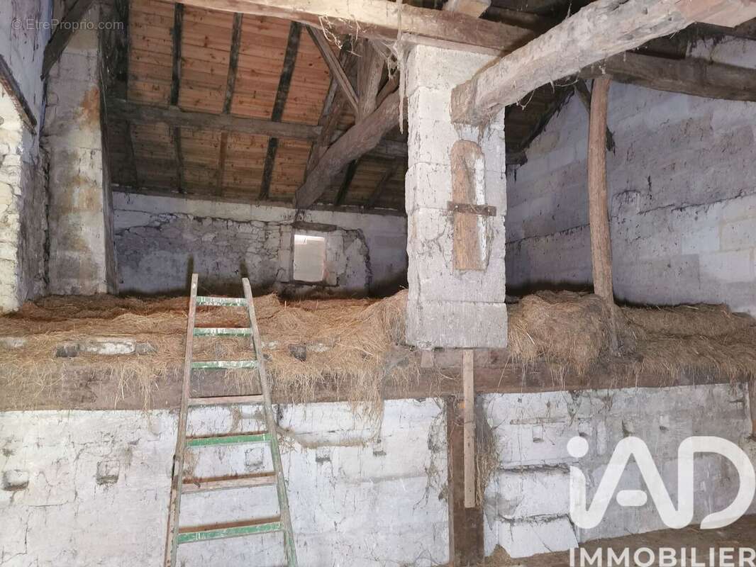 Photo 8 - Maison à LES ARTIGUES-DE-LUSSAC