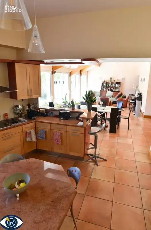 Maison 315 m² à Laval  - photo 4